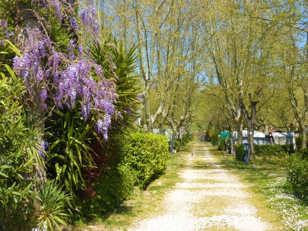 Camping Smeraldo Trevignano Romano Exterior photo